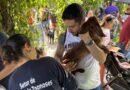 Vacinação antirrábica para cães e gatos será no dia 31