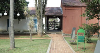 Arte no Bosque será neste domingo