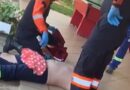 Trabalhadores da Corpus são atacados por abelhas no Colinas