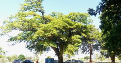 Indaiatuba está se tornando uma Ilha de Calor?