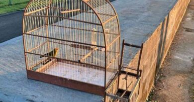 Guarda apreende gaiola e detém homem no Morada do Sol