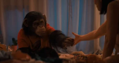 Primata, Song Sung Blue e Socorro estreiam em Indaiatuba