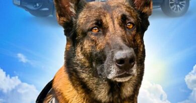 Morre cão Duke do Canil da Guarda de Indaiatuba