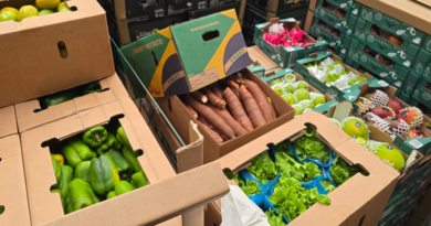 Por Viracopos, Brasil exporta hortifrútis frescos para a Ilha do Sal