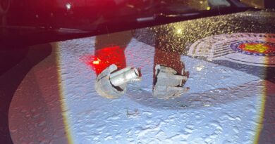 Granada é encontrada na Vila Costa e Silva