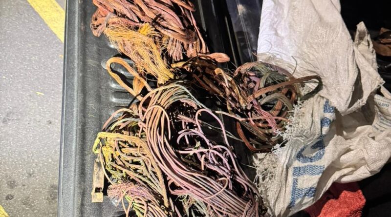 Homem é preso por furto de fios em Elias Fausto