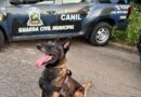 Canil prende suspeito de tráfico em Elias Fausto