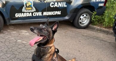 Canil prende suspeito de tráfico em Elias Fausto