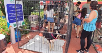 Evento no Parque do Buru terá doação de cães e gatos