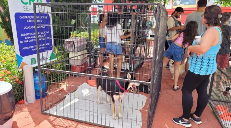 Evento no Parque do Buru terá doação de cães e gatos