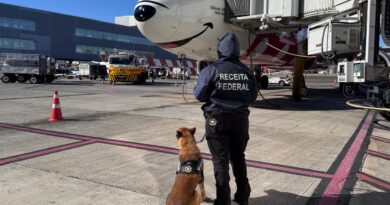 Receita apreende 1 tonelada de produtos para emagrecer em Viracopos