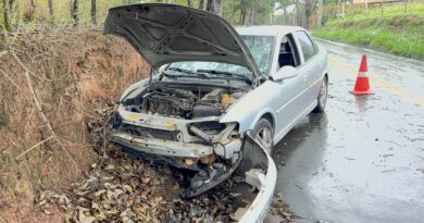 Casal fica ferido após carro atingir árvore no bairro Helvetia