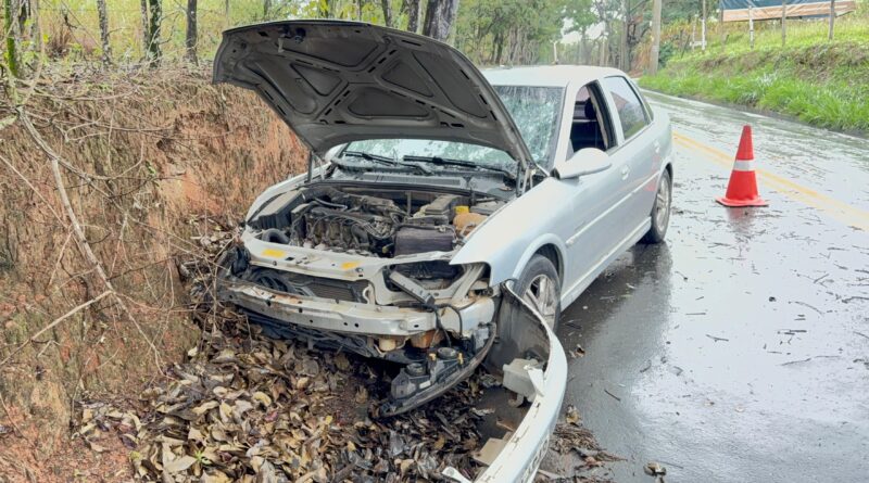 Casal fica ferido após carro atingir árvore no bairro Helvetia