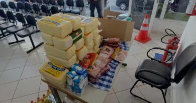 Perseguição termina com dupla presa por furto após carro bater em coqueiro